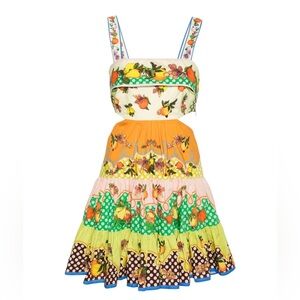 Alemais Colorful Print Dress